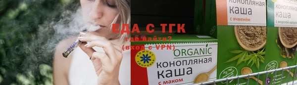 индика Надым