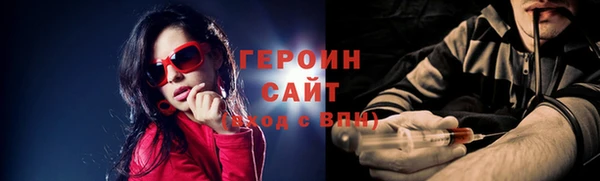 индика Надым