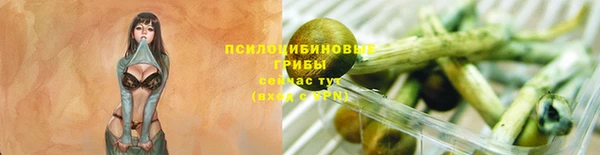 ПСИЛОЦИБИНОВЫЕ ГРИБЫ Мегион