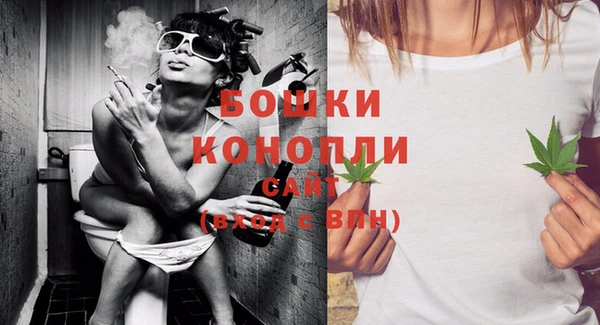 индика Надым