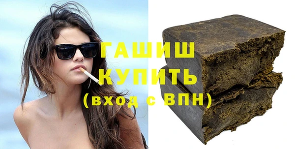индика Надым