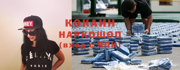индика Надым