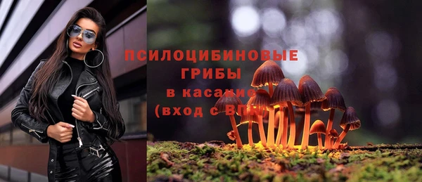 ПСИЛОЦИБИНОВЫЕ ГРИБЫ Мегион