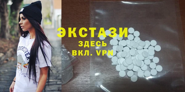 индика Надым